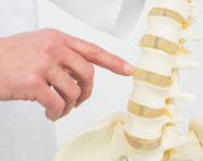 Campi di applicazione dell'osteopatia